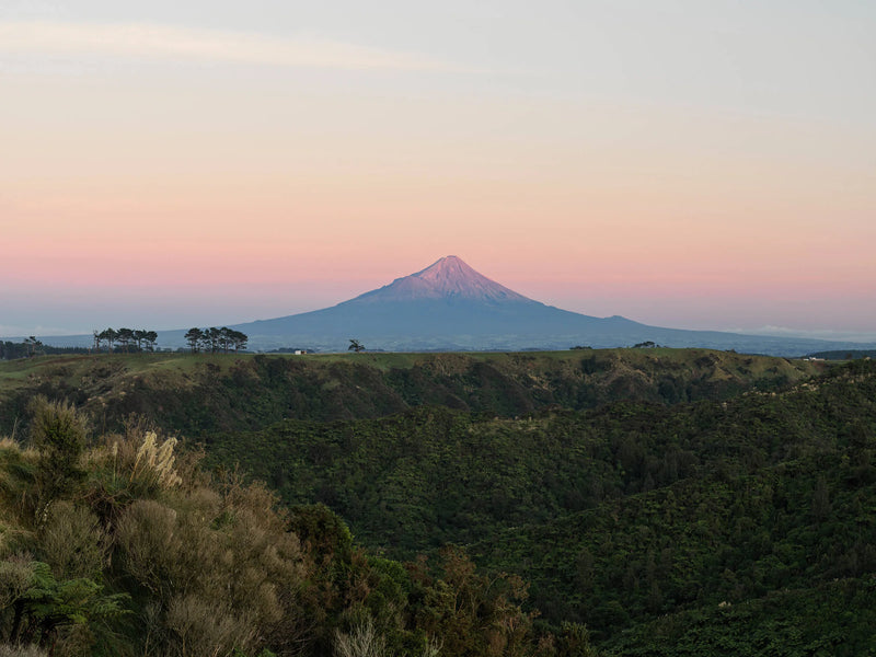 Colmenas de Egmont Honey con el Monte Taranaki de fondo
